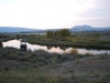 Rieka Colorado v Colorade 6