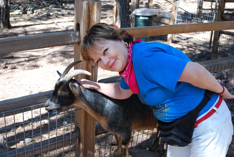 Oslávenkyňa s kozou, Bearizona v Arizone