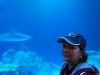 Shedd Aquarium, Chicago, Illinois