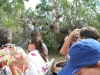 Plavba na vznášadle, Aligator Farm, Florida, USA