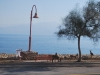 Cesta popri Mŕtvom mori, Ein Gedi, Izrael
