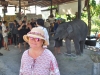 Fotenie s malým slonom, Phuket, Thajsko