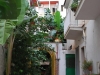 Záhrada v našom hoteli, Letojanni, Sicília
