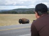 Yellowstone National Park 104