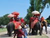 Slony na ulici v Ayutthaya, Thajsko