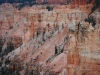 Bryce Canyon 35