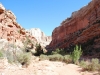 Capitol Reef National Park 2