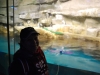 Shedd Aquarium, Chicago, Illinois