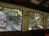 Čiernohronská železnica, skaly za oknom