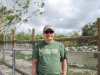 Smelý Zajko v Everglades, Florida, USA