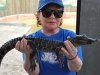 Baby Aligator, Aligator Farm, Florida, USA