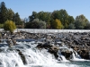 Idaho Falls 6