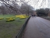 St. James Park, Londýn
