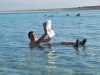 Vznášanie v Mŕtvom mori, Ein Gedi, Izrael