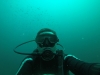Potápanie na Phi Phi, Thajsko