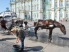 Pred Zimným palácom, Petrohrad, Rusko