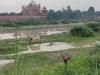 Tádž Mahal, Agra, India